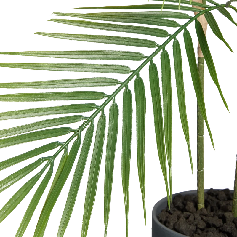Künstliche Bergpalme - Nolte | 100 cm