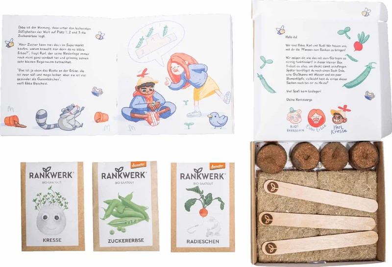 Rankzwerge Kinder Bio Gemüse Saatgut-Box