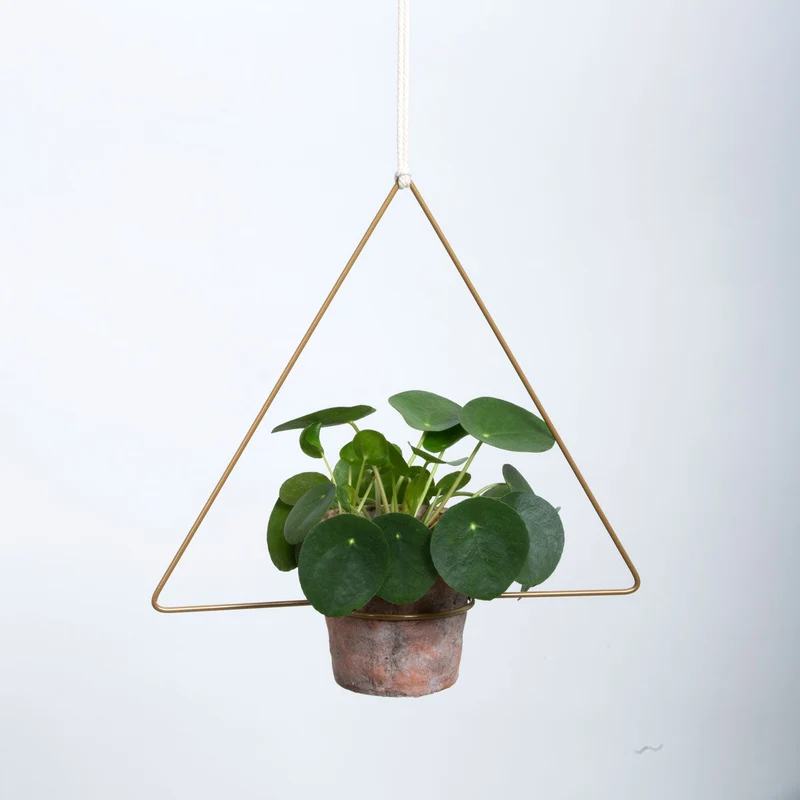Trigona Hanging Planter Blumenampel 30 cm