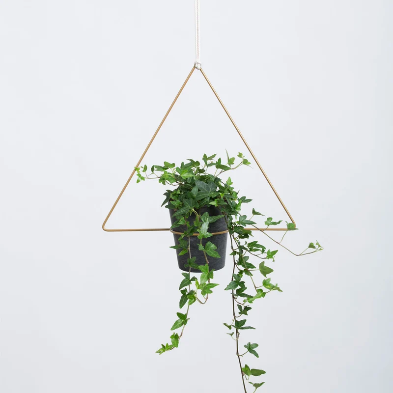 Trigona Hanging Planter Blumenampel 30 cm