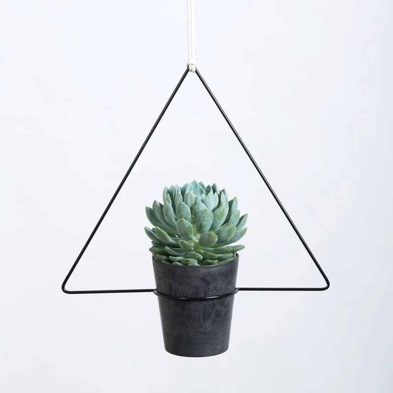 Trigona Hanging Planter Blumenampel 30 cm