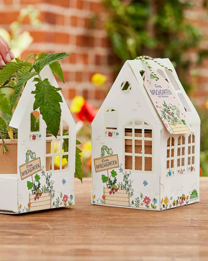 Finns Tomaten Gewächshäuschen DIY Kinder Anzuchtset
