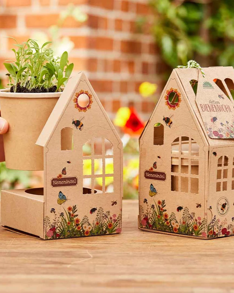 Bieneninsel Wildblumen Gewächshäuschen DIY Kinder Anzuchtset