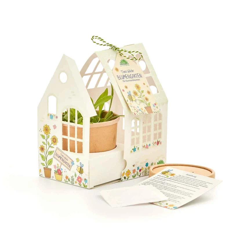 Ellas Limo-Garten Gewächshäuschen DIY Kinder Anzuchtset