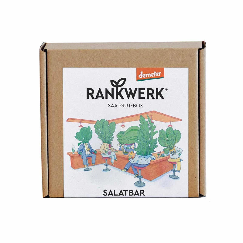 Salatbar Bio Saatgut-Box 4 Sorten