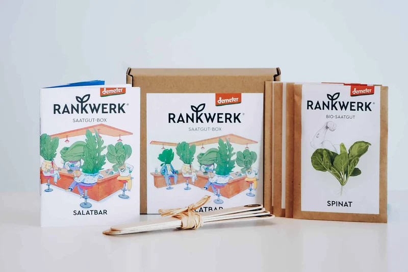Salatbar Bio Saatgut-Box 4 Sorten