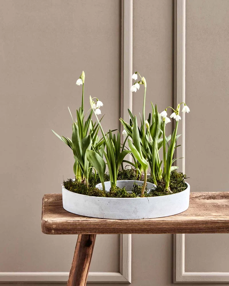 Dekoschale The Ring Beton Optik Grau 35 cm