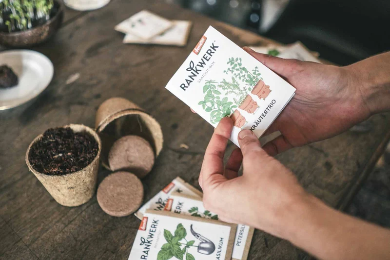 Kräutertrio Bio Saatgut-Box