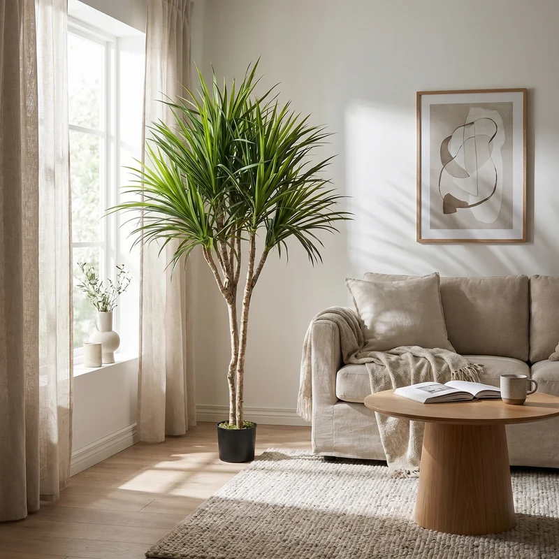 Künstliche Dracaena – Elianor | 180 cm