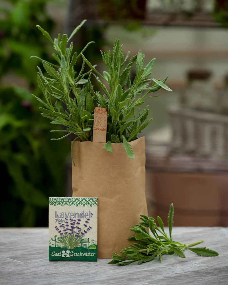 Bio Lavendel Minigarten Blumen DIY Anzuchtset