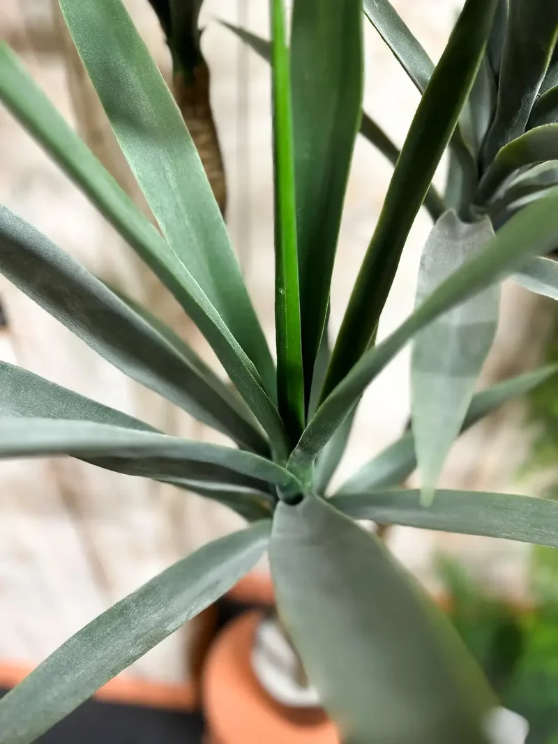 Künstliche Yucca – Talandra | 150 cm