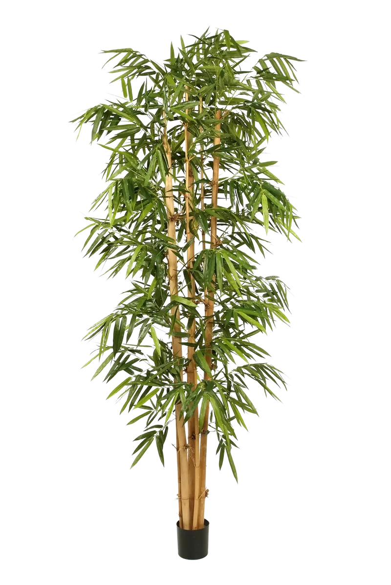 Künstlicher Bambus – Kenai | 210 cm