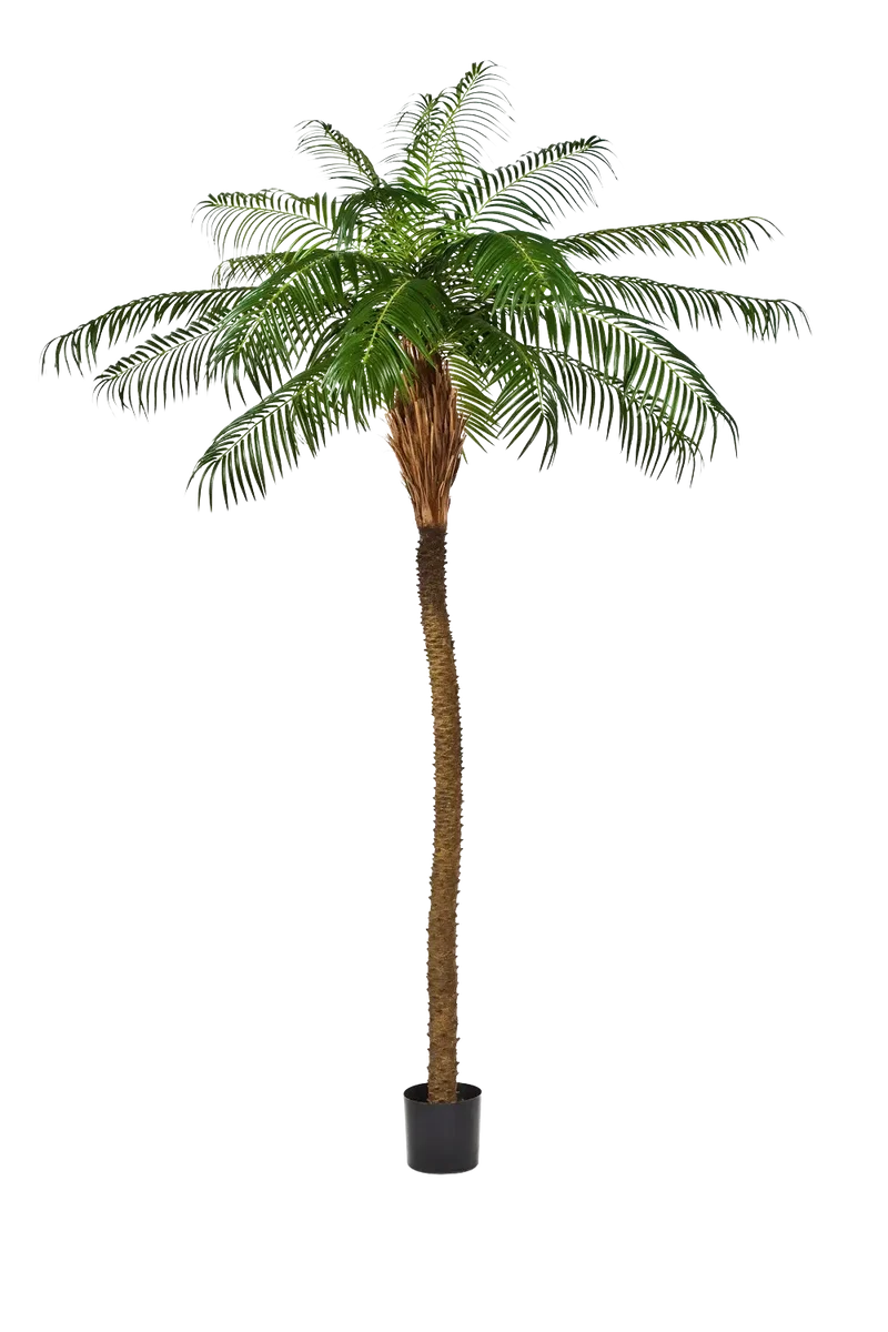 Künstliche Phoenixpalme – Zephyra | 180 cm