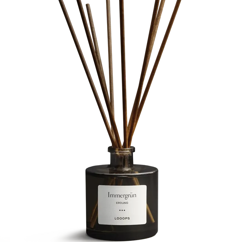 Raumduft Diffuser mit Stäbchen – Looops