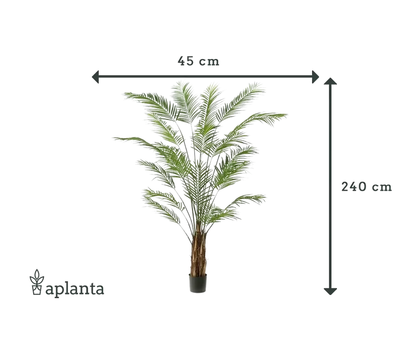 Künstliche Areca Palme - Isaiah | 240 cm
