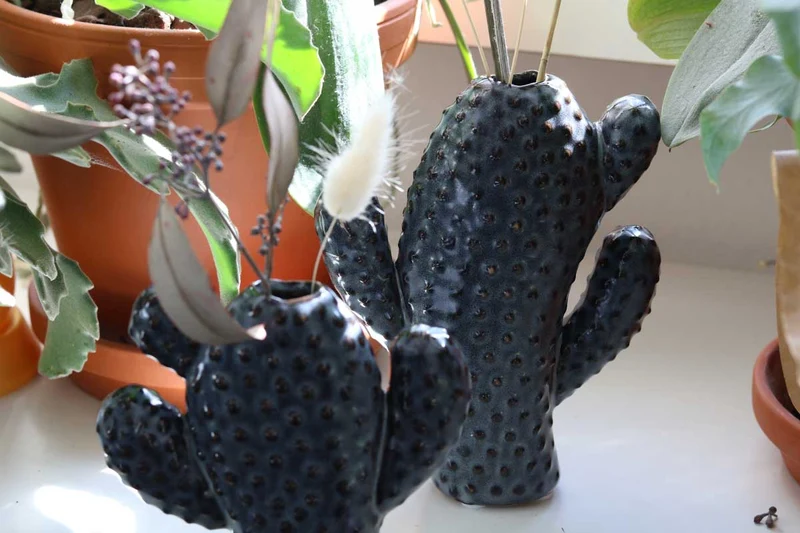 Kaktus Vase Keramik grau
