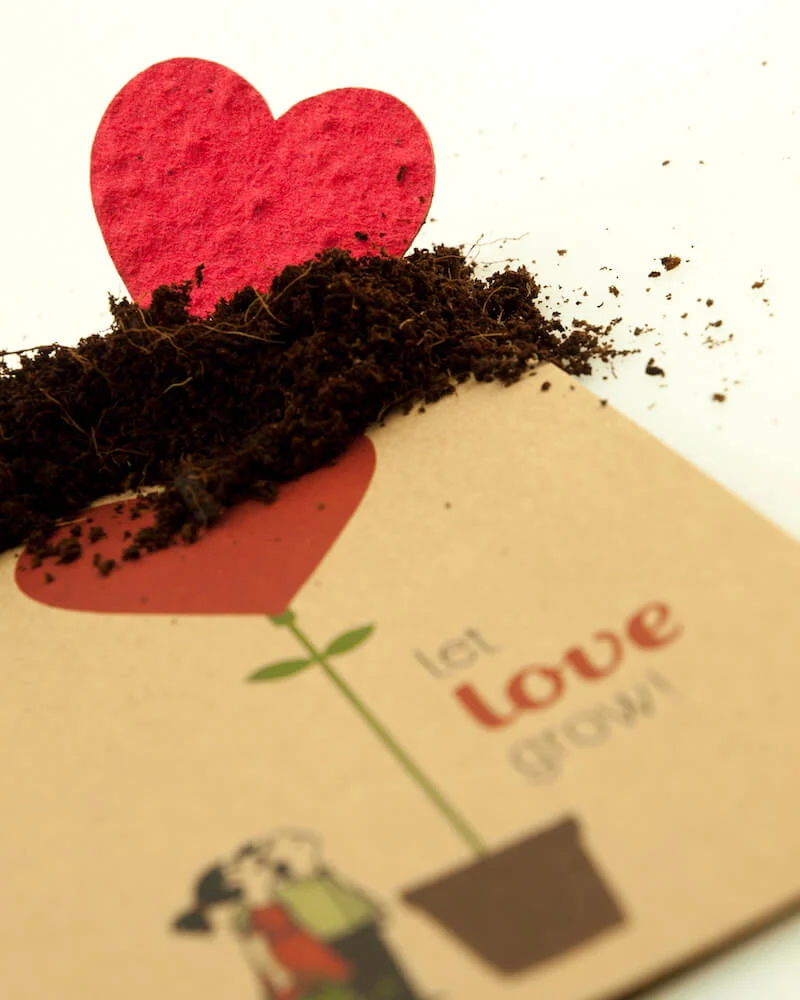 Let Love Grow Saatgut Grusskarte Hochzeit 10,5 x 14,8 cm