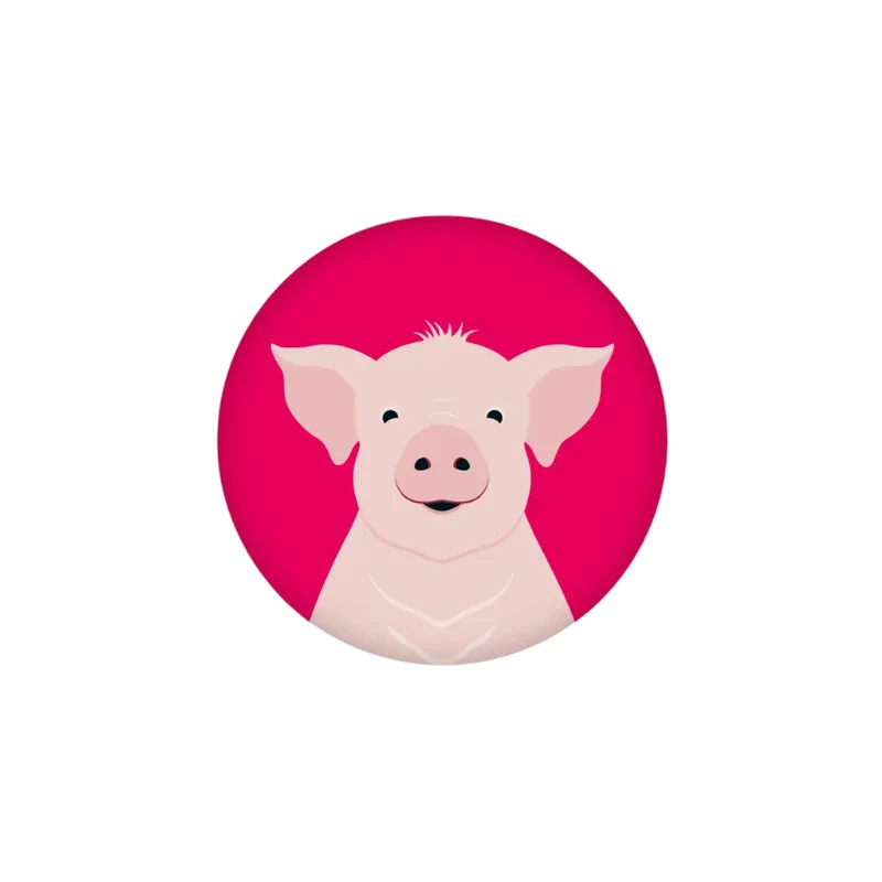 Magnet - Schwein Rosi