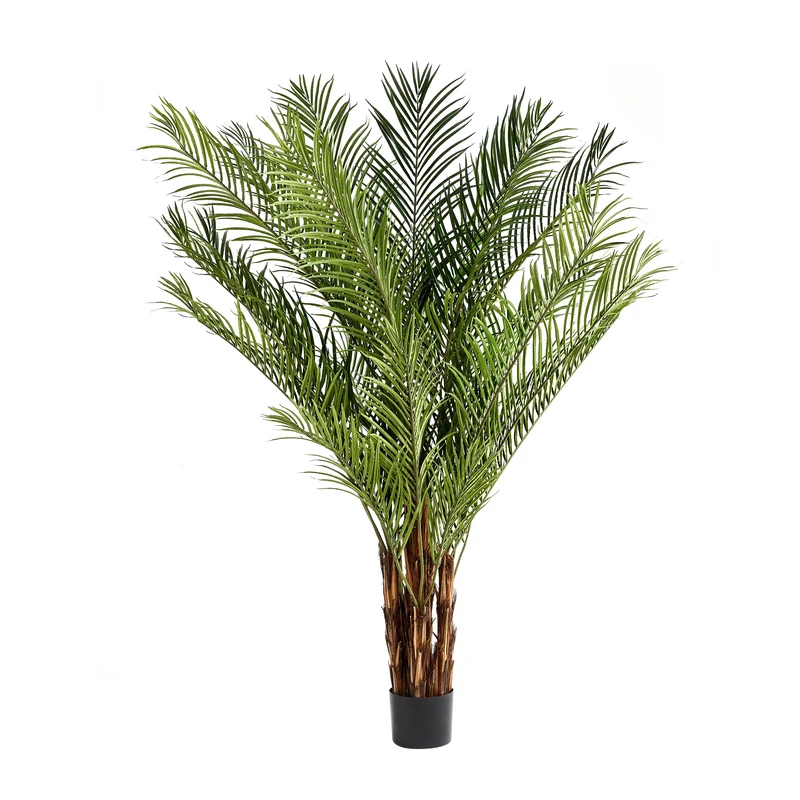 Künstliche Palme – Caliora | 240 cm