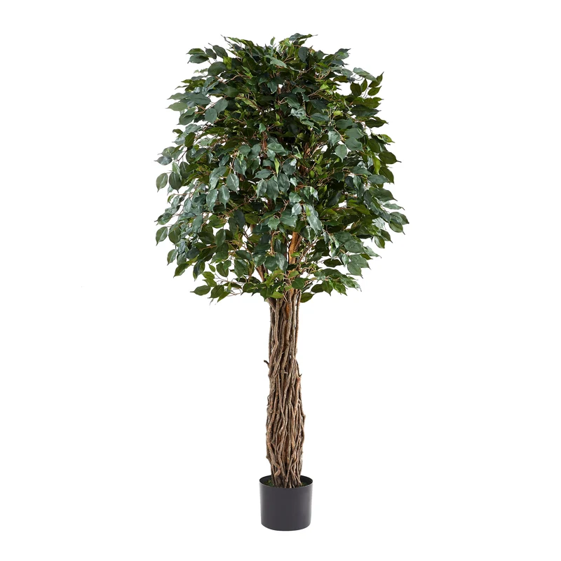 Künstlicher Ficus – Amadior | 210 cm