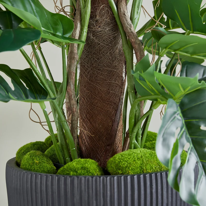 Künstlicher Split-Philodendron – Zephira | 210 cm