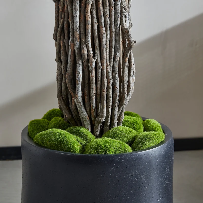 Künstlicher Ficus – Amadior | 180 cm