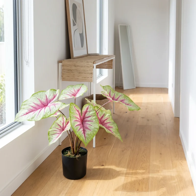 Künstliche Caladium - Malena | 55 cm