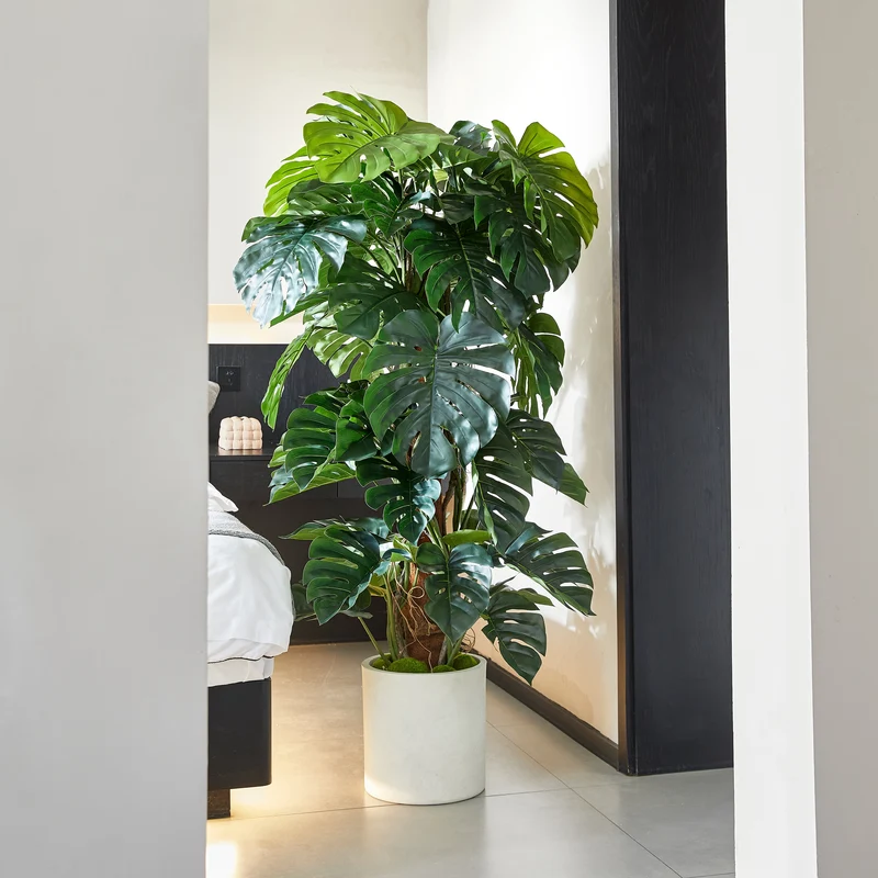 Künstlicher Split-Philodendron – Zephira | 160 cm