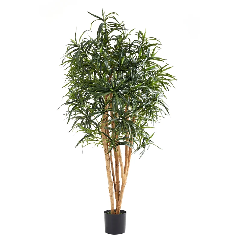 Künstliche Dracaena Reflexa – Maelis | 180 cm