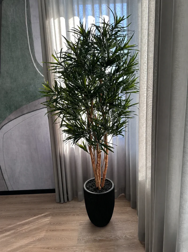Künstliche Dracaena Reflexa – Maelis | 180 cm