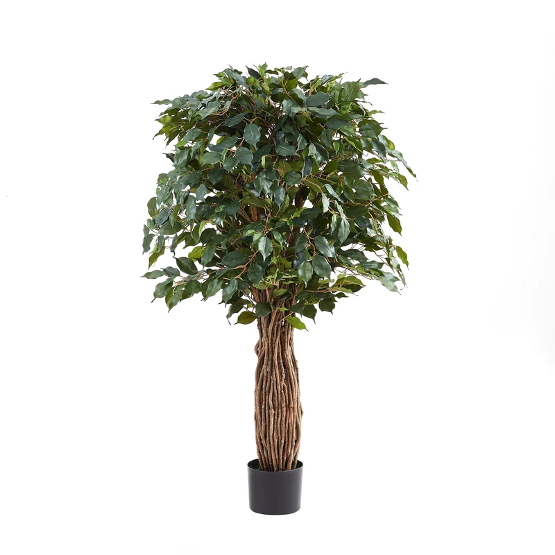 Künstlicher Ficus – Amadior | 150 cm