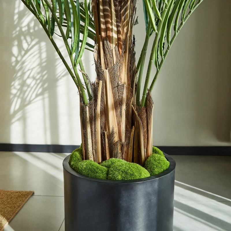Künstliche Kentia-Palme – Caliora | 180 cm