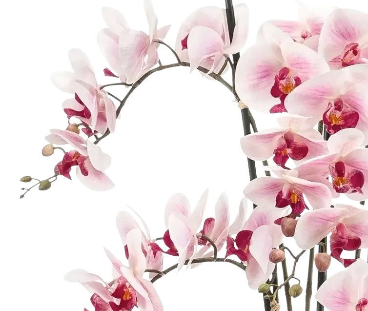 Künstliche Orchidee - Leo | 100 cm