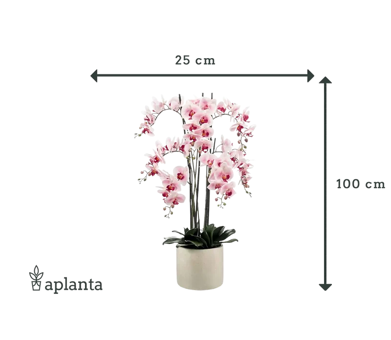 Künstliche Orchidee - Leo | 100 cm