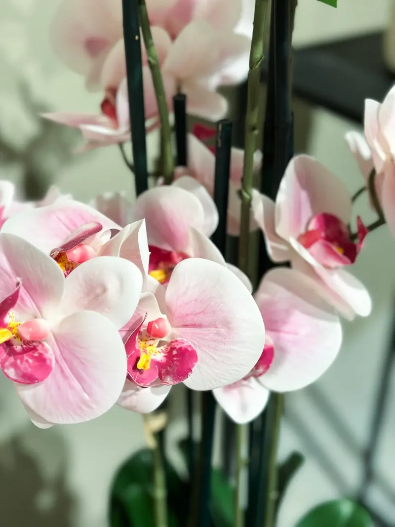 Künstliche Orchidee - Leo | 100 cm