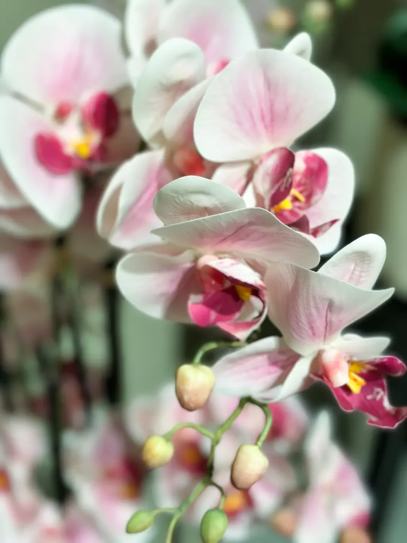 Künstliche Orchidee - Leo | 100 cm