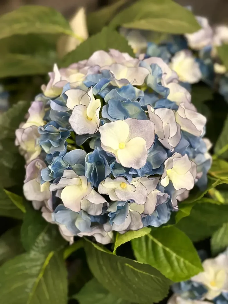 Künstliche Hortensie - Naomi | 53 cm