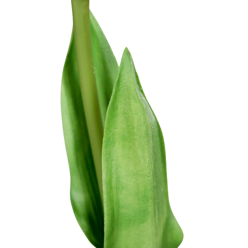Künstliche Tulpe - Tris | 60 cm