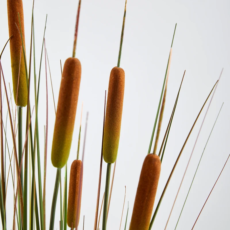 Künstlicher Rohrkolben – Emeric | 150 cm
