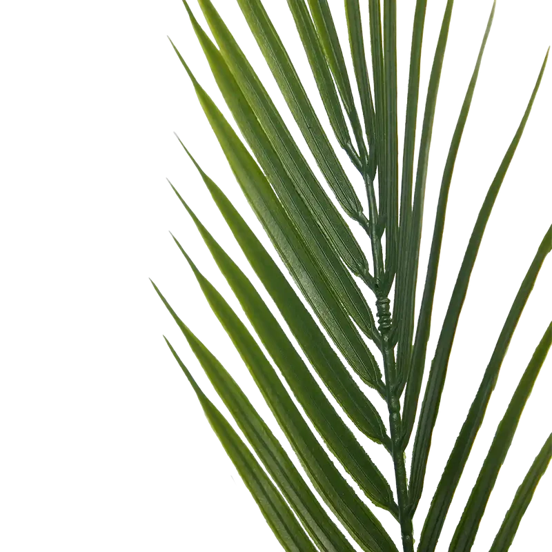 Künstliche Bergpalme - Nolte | 180 cm