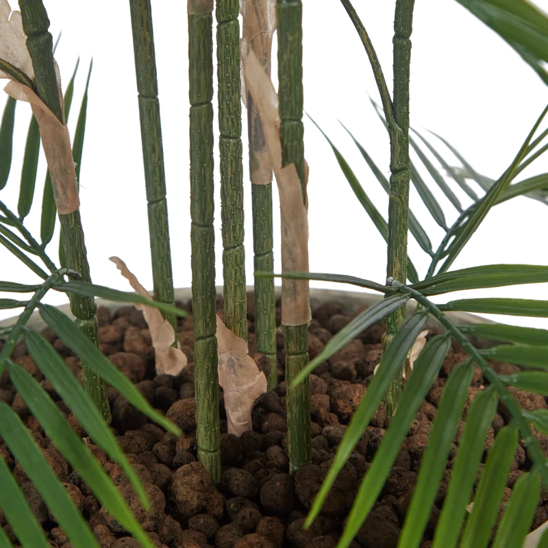 Künstliche Bergpalme - Nolte | 180 cm