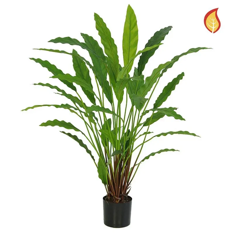 Künstliche Calathea - Lothar | 77 cm