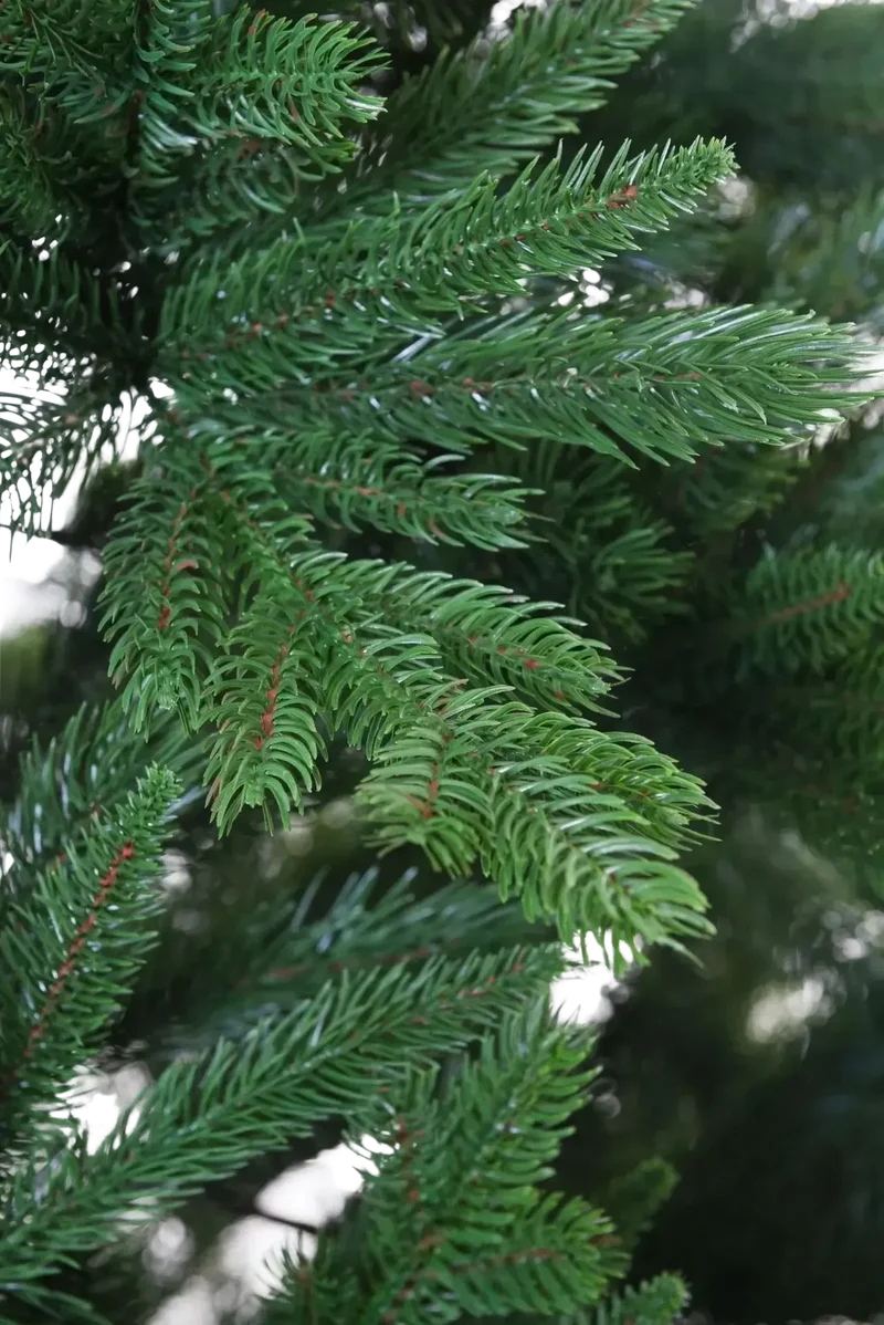 Künstlicher Weihnachtsbaum - Gabriel | 180 cm