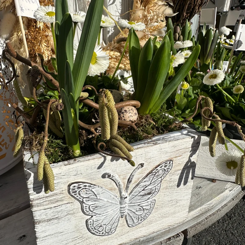 Pflanzkiste Holz - Schmetterling - Landhausstil M