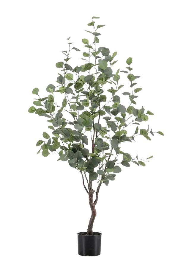 Künstlicher Eucalyptus Baum - Christopher | 120 cm