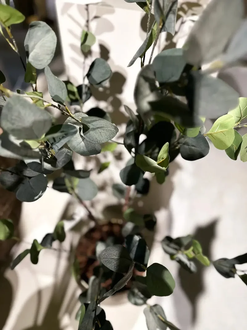 Künstlicher Eucalyptus Baum - Christopher | 120 cm