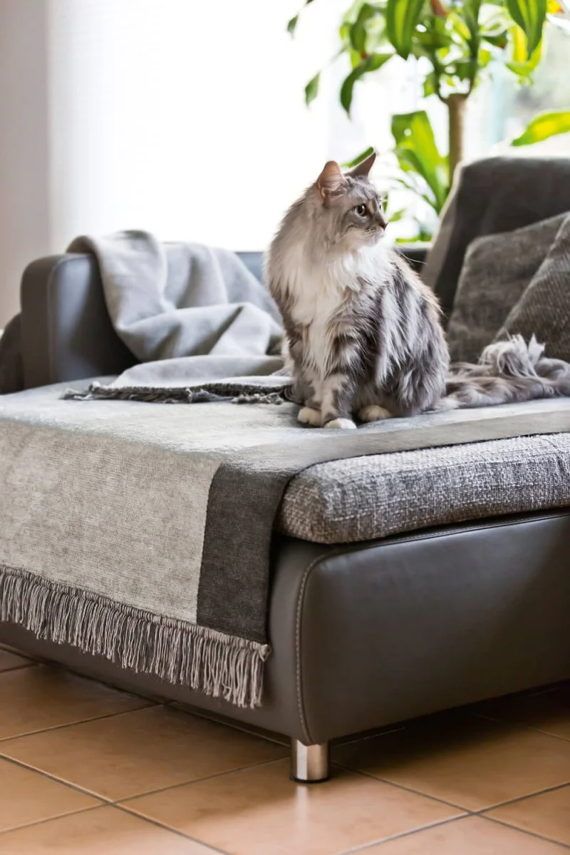 Wohndecke | Sofaschoner Cotton Cover