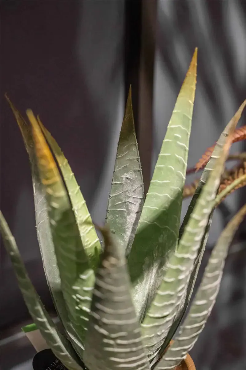 Künstliche Aloe - Patty | 30 cm