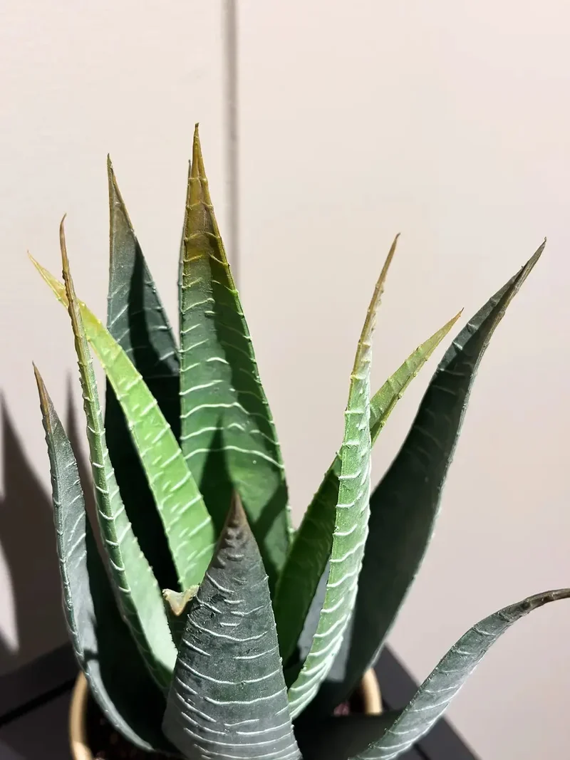 Künstliche Aloe - Patty | 30 cm