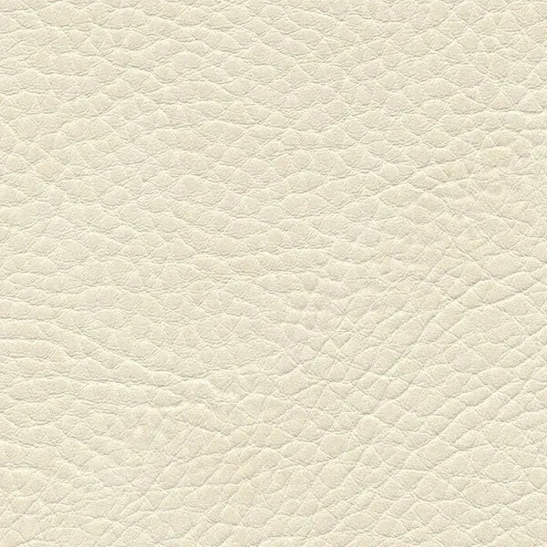 Kunstleder-Kissen 40x40 cm | Omega II Rindsleder-Optik